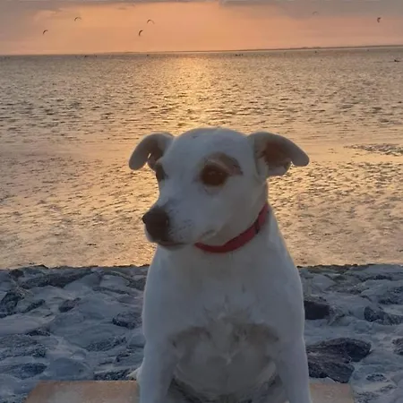 Apartment Mira Maris