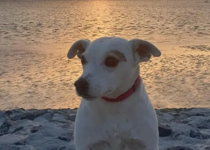 Lejlighed Mira Maris